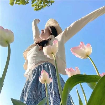秘密战队五连者 炸弹飓风